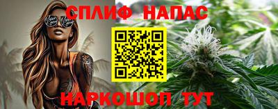 мдпв Пенза