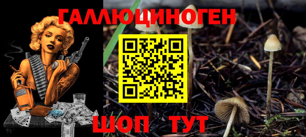 Галлюциногенные грибы Magic Shrooms  Вход с VPN  наркота  Строитель 